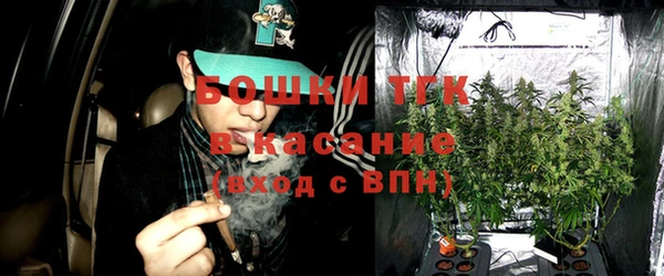 ешки Алексин