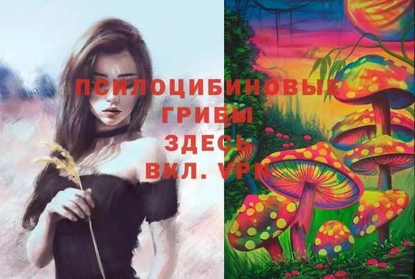 первитин Абаза