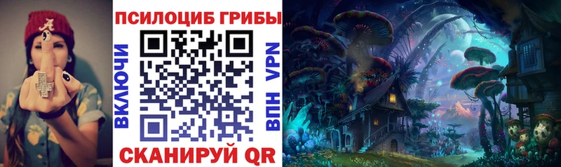Галлюциногенные грибы Psilocybine cubensis  ОМГ ОМГ tor  Зарайск 